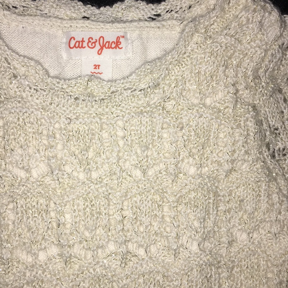 Toddler Size 2 Dress